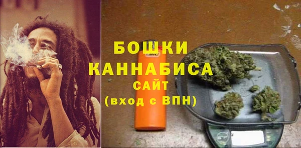твердый Медногорск