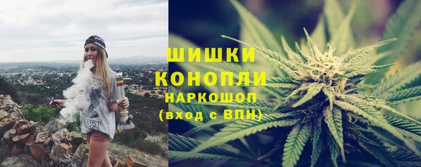 твердый Медногорск